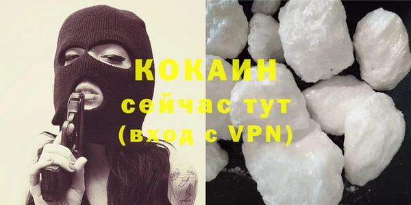 хмурый Бородино