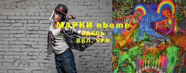 хмурый Бородино