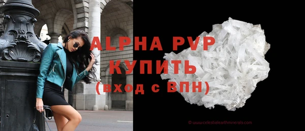 хмурый Бородино