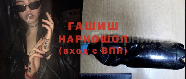 хмурый Бородино