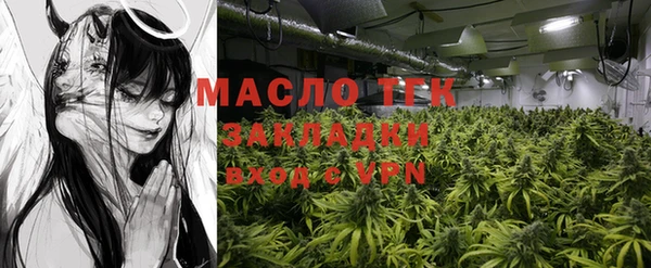хмурый Бородино