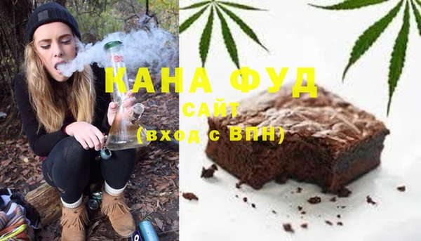 гашик Сосновка