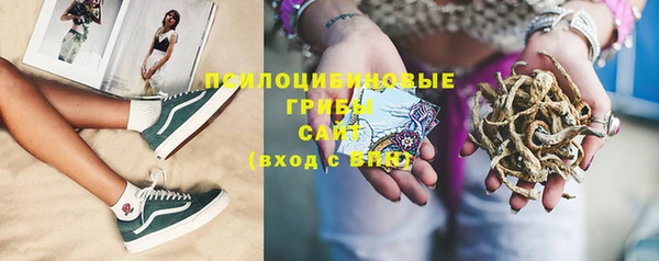 apvp Бугульма