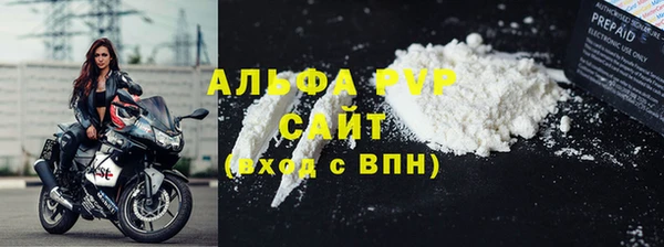 СК Сосновый Бор