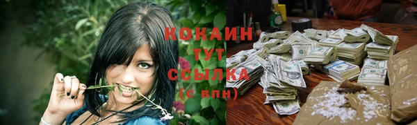 хмурый Бородино