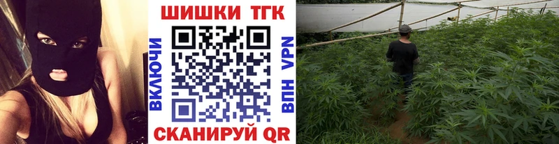 Конопля семена  ссылка на мегу зеркало  Кириллов 